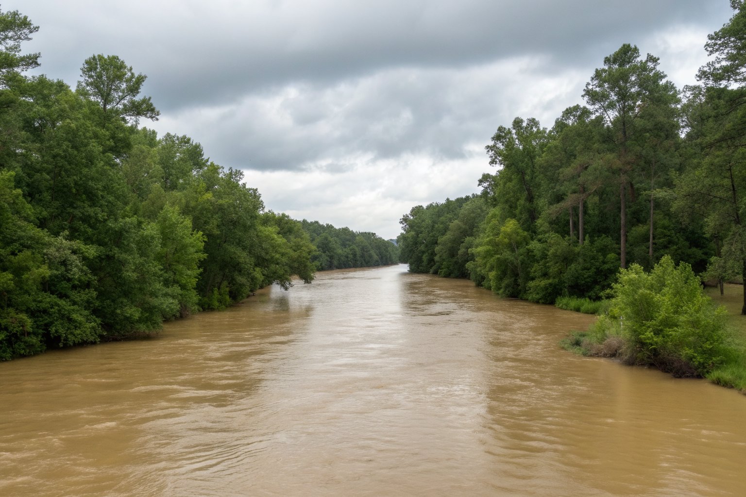 Wide muddy river running high between wooded banks